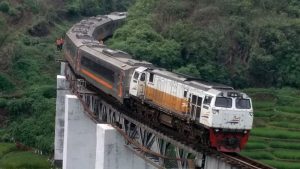 Kereta Api Mutiara Selatan - WIKIPEDIA