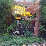 Dapur Griya Herbal (C) TRAVELBLOG.ID