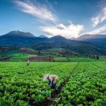 Lanscape Brakseng, Menikmati Keindahan Kota Batu dari Ketinggian