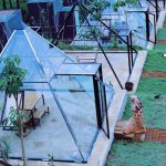 De Kleine Cafe, Sensasi Makan di Dalam Piramida Kaca