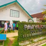 Ajak Nongkrong Anjing Kesayanganmu di Pawvilion Dog Cafe