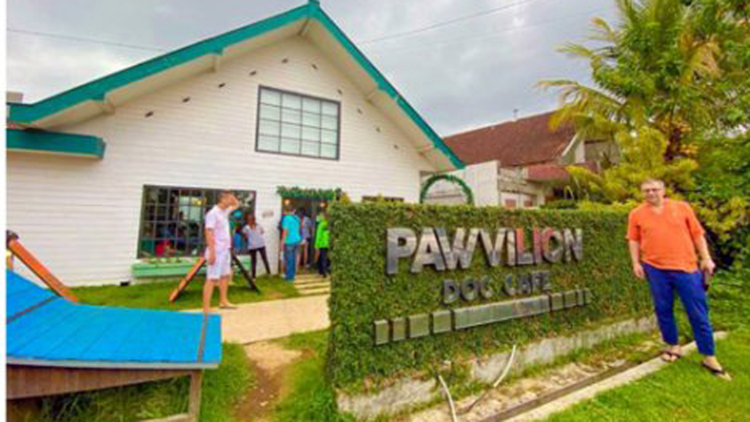 Ajak Nongkrong Anjing Kesayanganmu di Pawvilion Dog Cafe