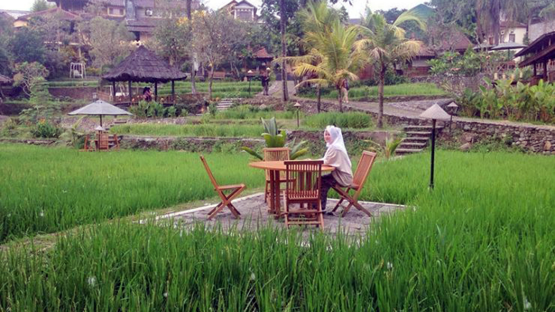 Rasakan Nuansa Pedesaan di Tengah Kota Malang di Padi Heritage Hotel