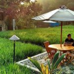 Rasakan Nuansa Pedesaan di Tengah Kota Malang di Padi Heritage Hotel