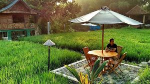 Rasakan Nuansa Pedesaan di Tengah Kota Malang di Padi Heritage Hotel