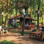 Ngedate di Tengah Alam Hijau di Kafe Taman Pinus Jalibar