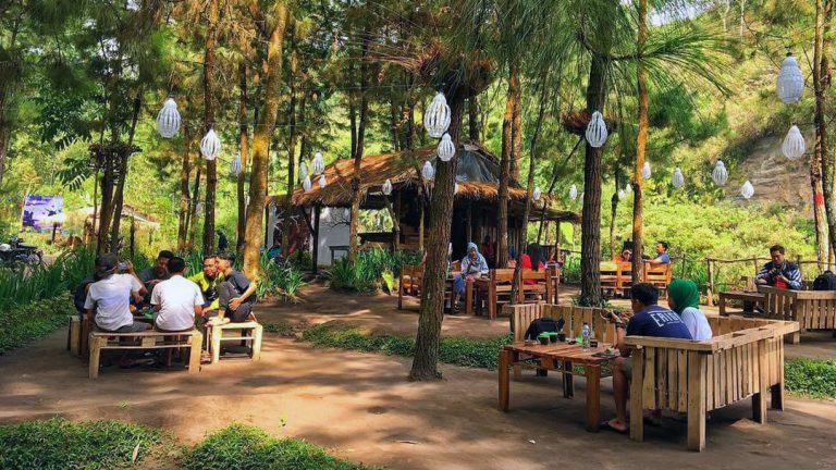 Ngedate di Tengah Alam Hijau di Kafe Taman Pinus Jalibar