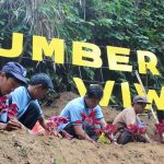 Segarnya Pemandian Sumber Wiwit di Wajak