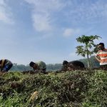 Berburu Ikan di Wisata Mbelong Kecamatan Tajinan