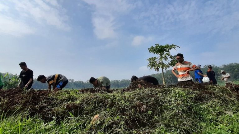Berburu Ikan di Wisata Mbelong Kecamatan Tajinan