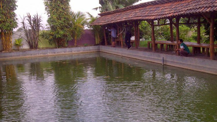 Kuliner Spesial di Resto Omah Iwak Teddy Nem