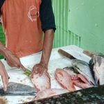 Lomba Memancing 3 Kali Seminggu di Kolam Pemancingan Telaga Amprong