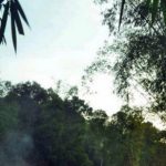 Sejarah Desa Sanankerto Turen, yang Dulu Jadi Pusat Persinggahan Para Petualang