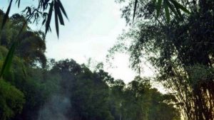 Sejarah Desa Sanankerto Turen, yang Dulu Jadi Pusat Persinggahan Para Petualang