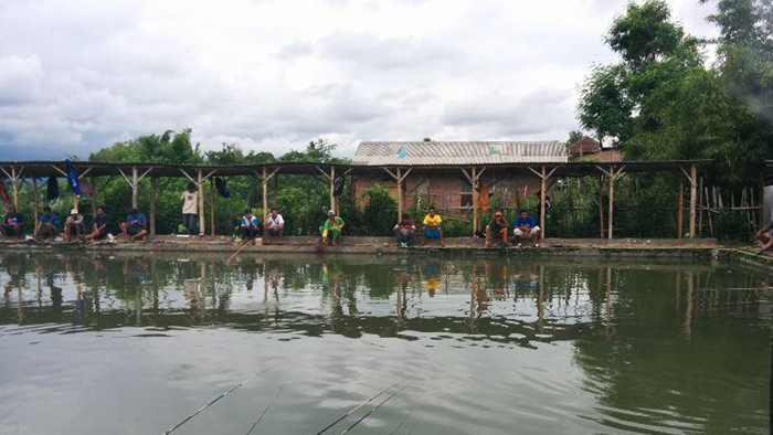 Kolam Pemancingan Bulurejo, Bisa Harian atau Galatama