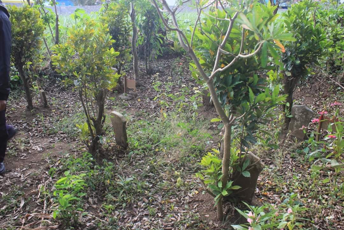 Kisah 3 Pejuang Malang yang Gugur Tertipu Mata-mata Pribumi