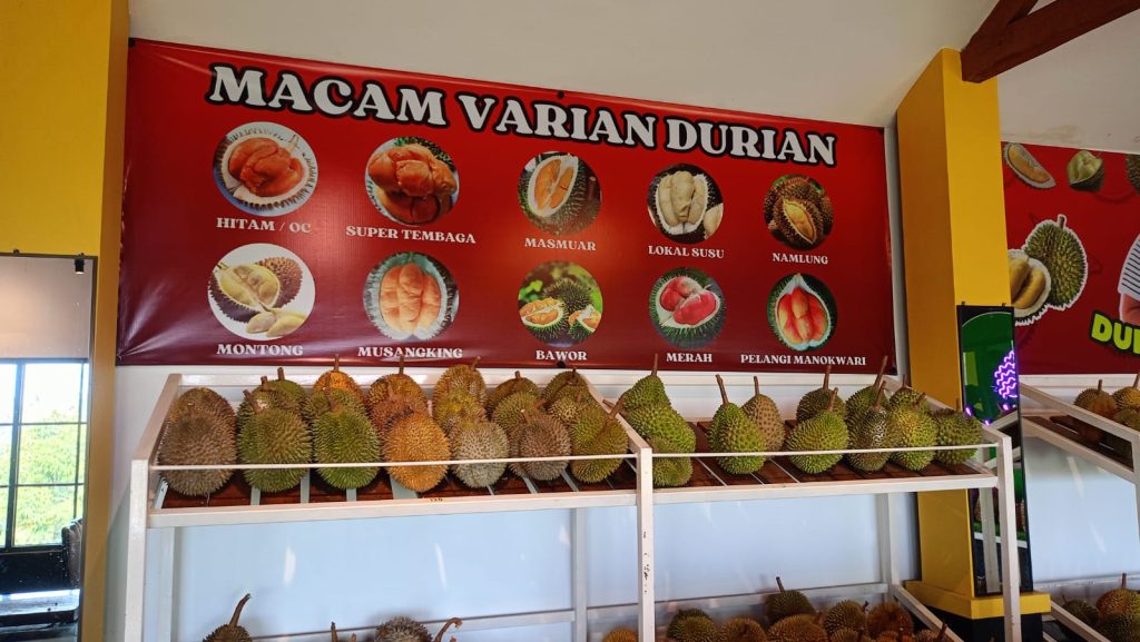 kebun durian Abah Anton